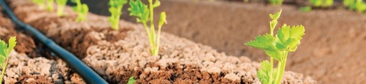 fotos1407030002_tcm30-131971 (1)