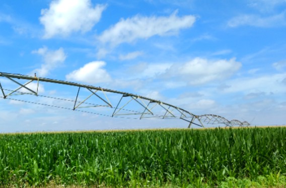 E CCRR M I PORMA_Image_31