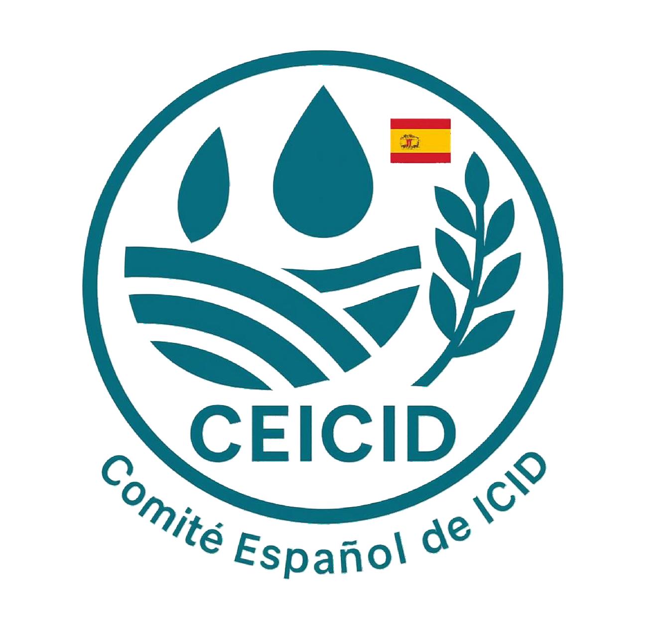 logo ceicid