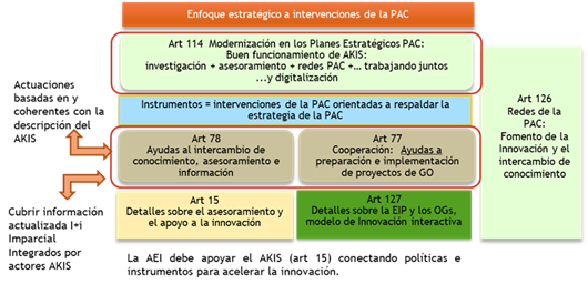 ENFOQUE ESTRATÉGICO A INTERVENCIONES DE LA PAC