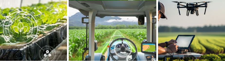 Foto apaisada Observatorio Digitalización