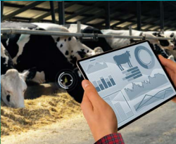 Foto 1 Ejemplo Observatorio Digitalización