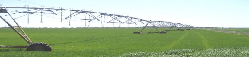 Agricultura de regadío