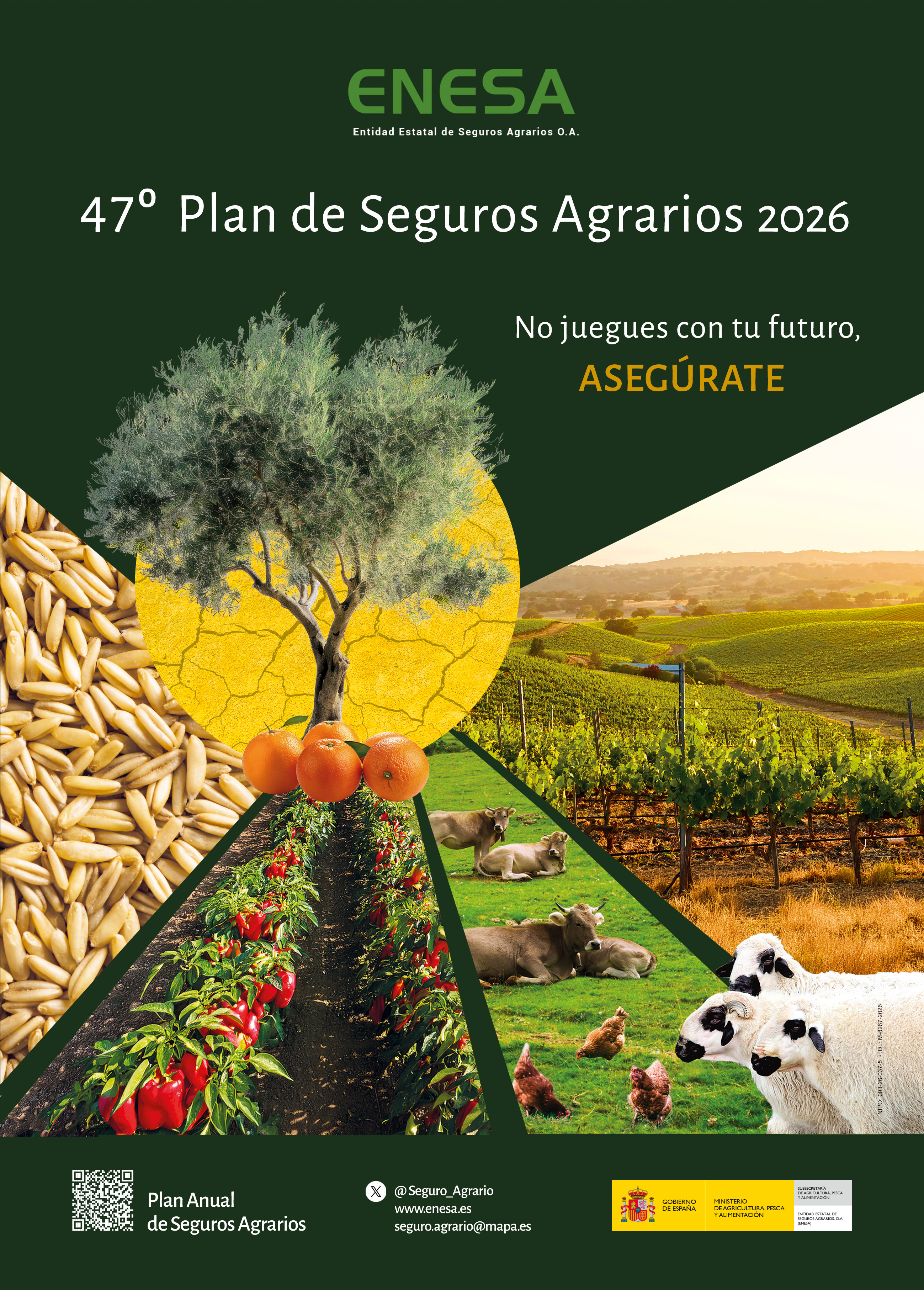 No jueges con tu futuro