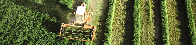 desarrollo_rural_1_745x172