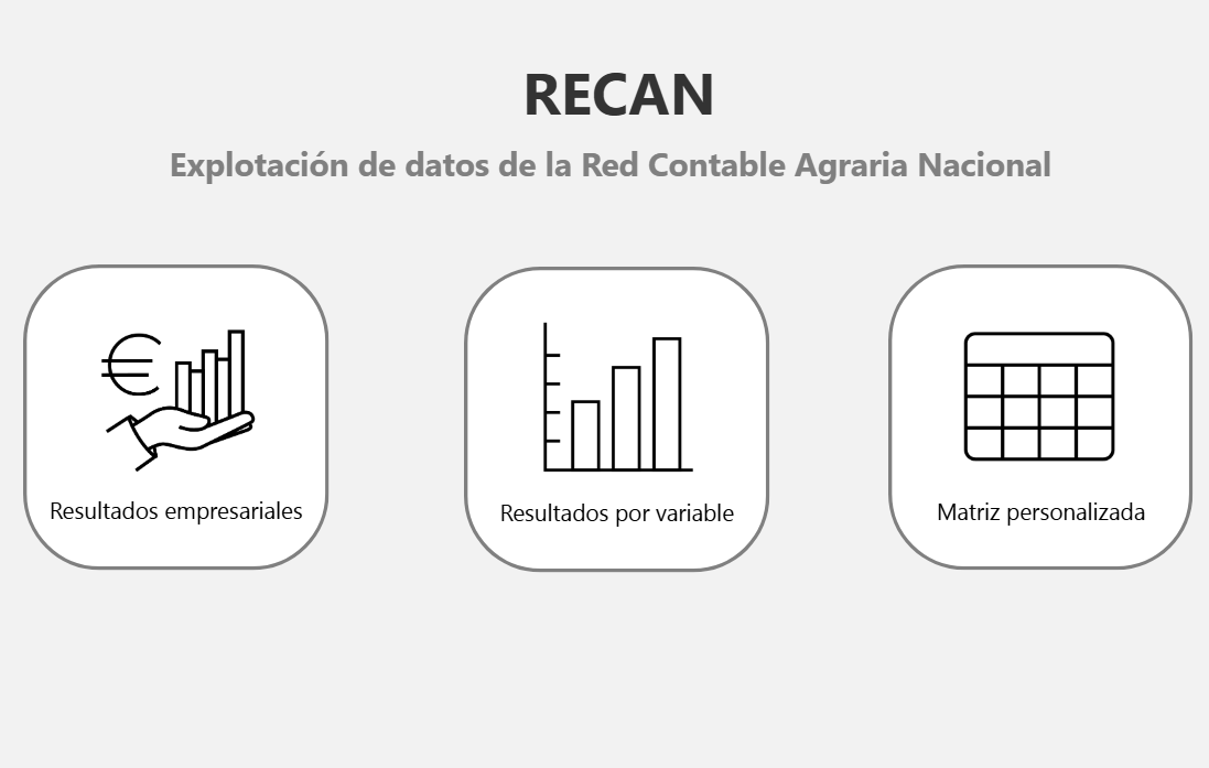 Informe interactivo RECAN
