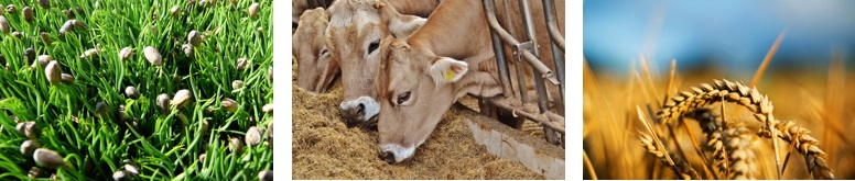 imagen relacion de productos