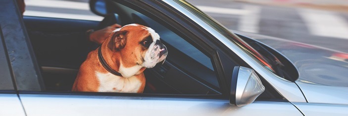 Foto de Tim Gouw en Pexels-236452.jpg