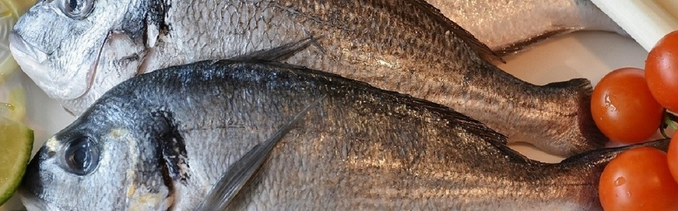 Imagen de RitaE en Pixabay-0-.jpg