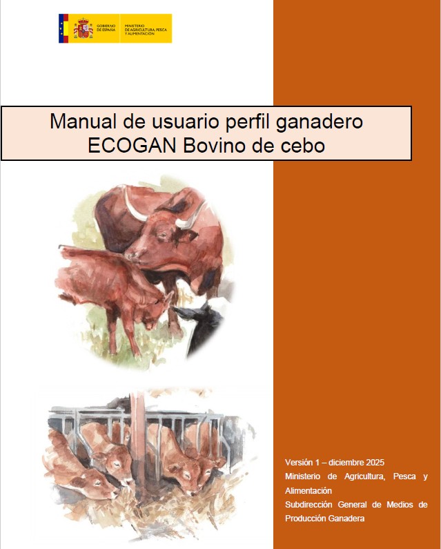 portada bovino de cebo