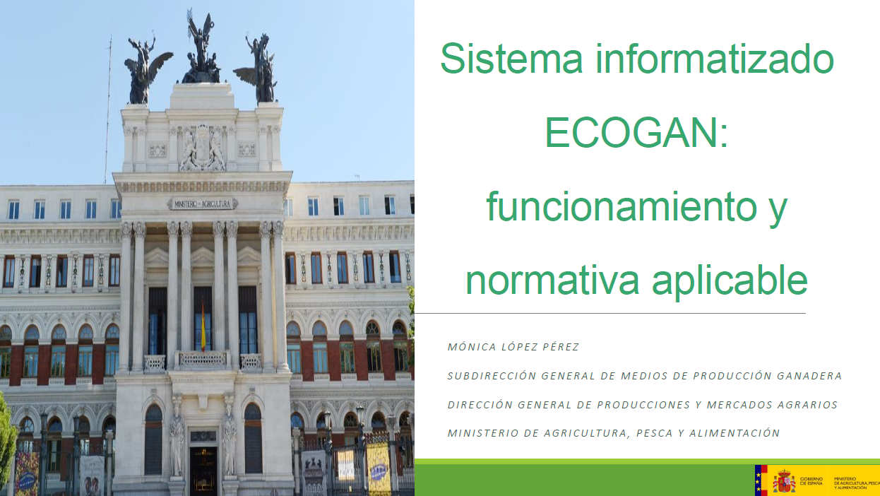 captura funcionamiento ECOGAN