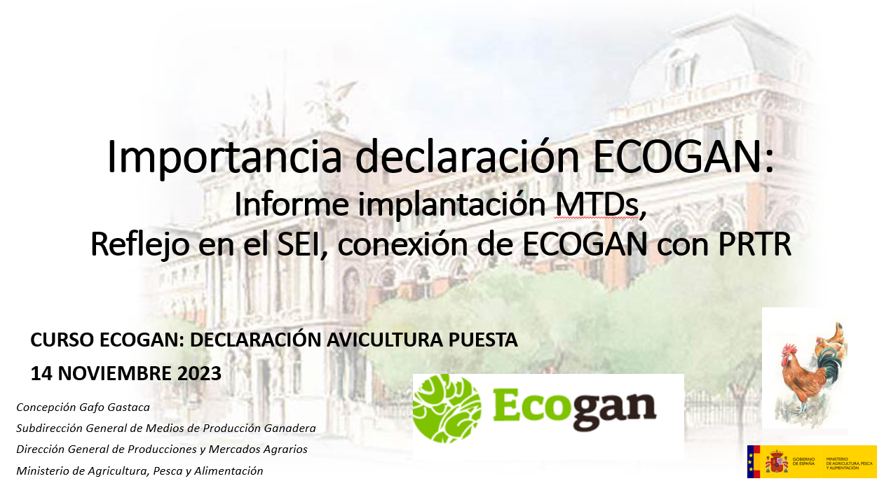 7. Importancia declaracion