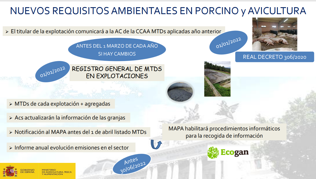 Enlace a la guía de aves de carne. 