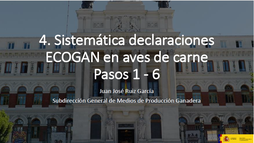 Portada Sistemática declaración Paso 7