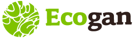 ECOGAN