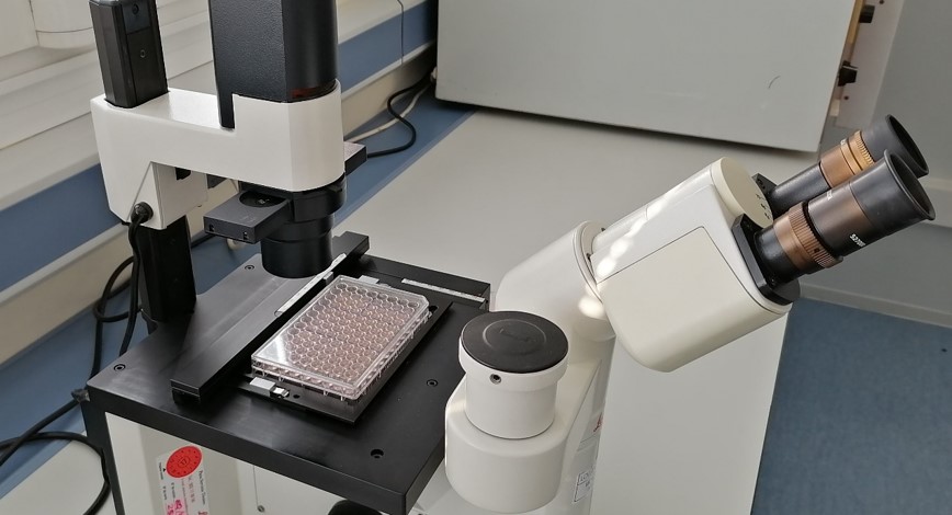 Herramienta de análisis