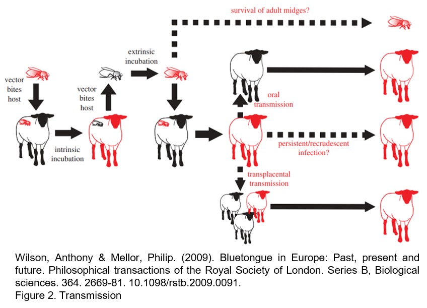transmission and pathogenesis_1