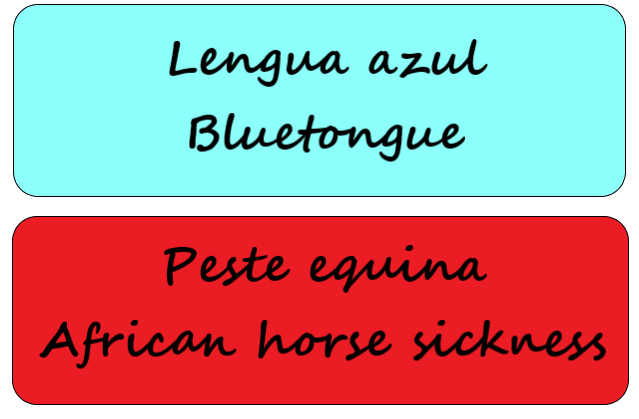 lengua azul<br/>peste equina africana