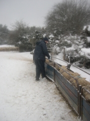 Control con lector de mano