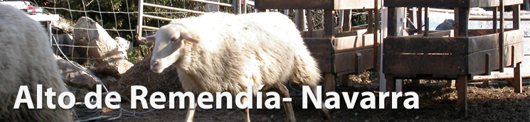 Alto de Remendía
