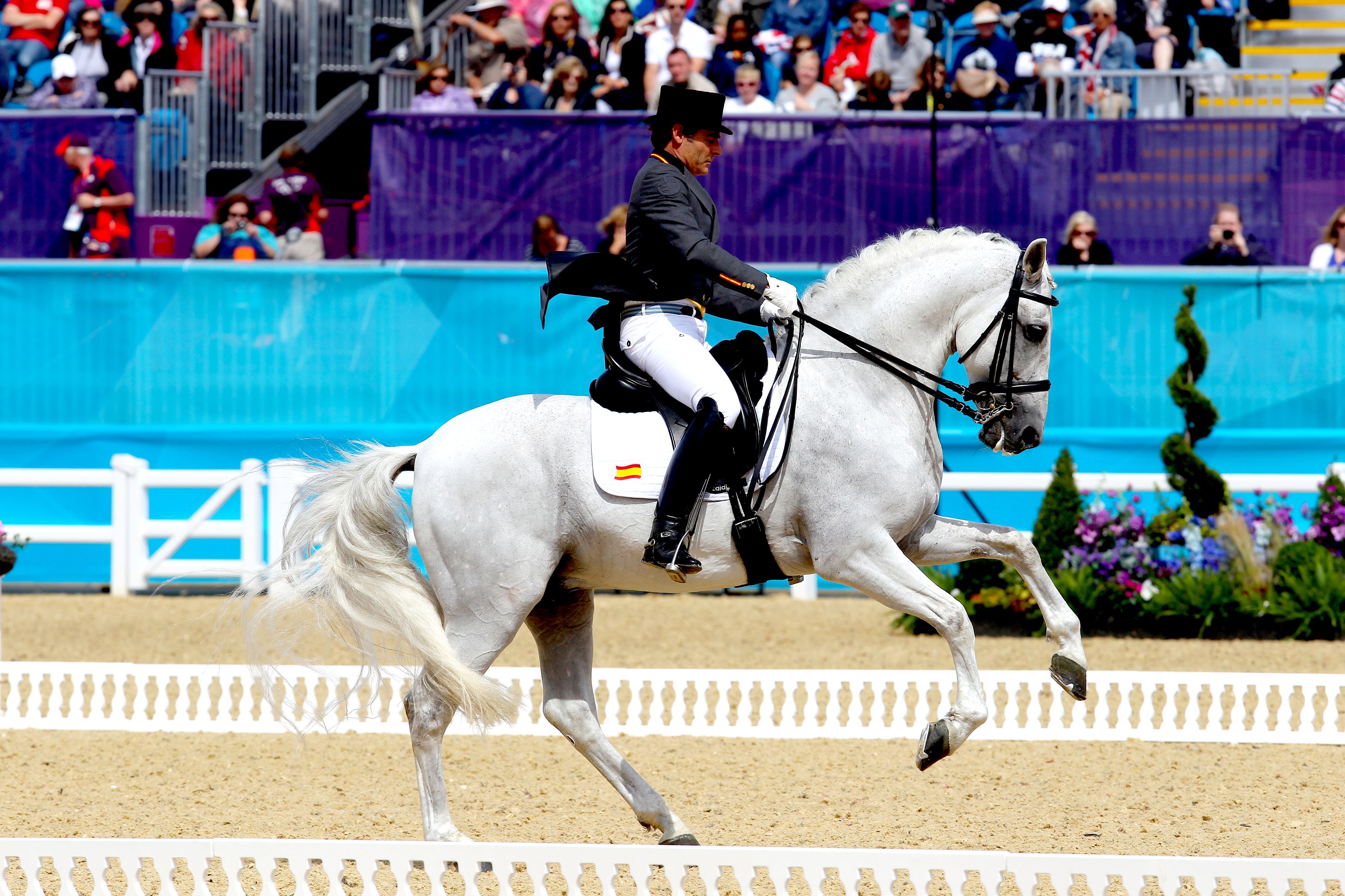 Autor: Bob Langrish.<br/>Año: 2013<br/>Sexo: Macho.<br/>Comentario: Doma Clásica en Olimpiadas de Londres.<br/>Imagen facilitada por la ASOCIACIÓN...