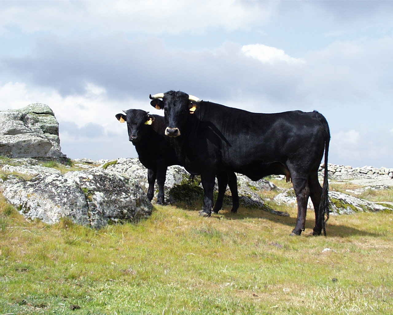 Comentario: Fotografía facilitada por FEAGAS