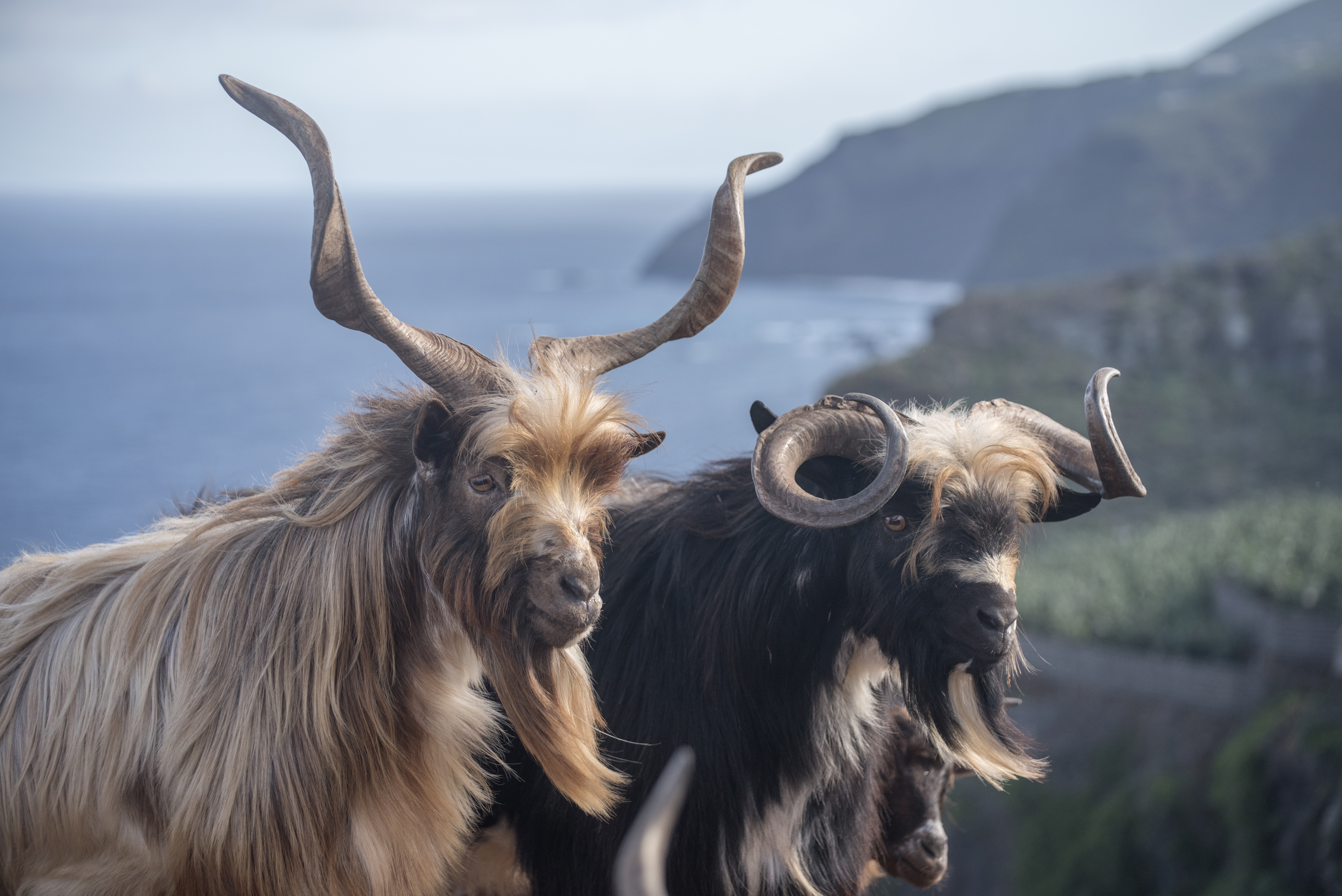 Comentario: Fotografía facilitada por ACCRP
