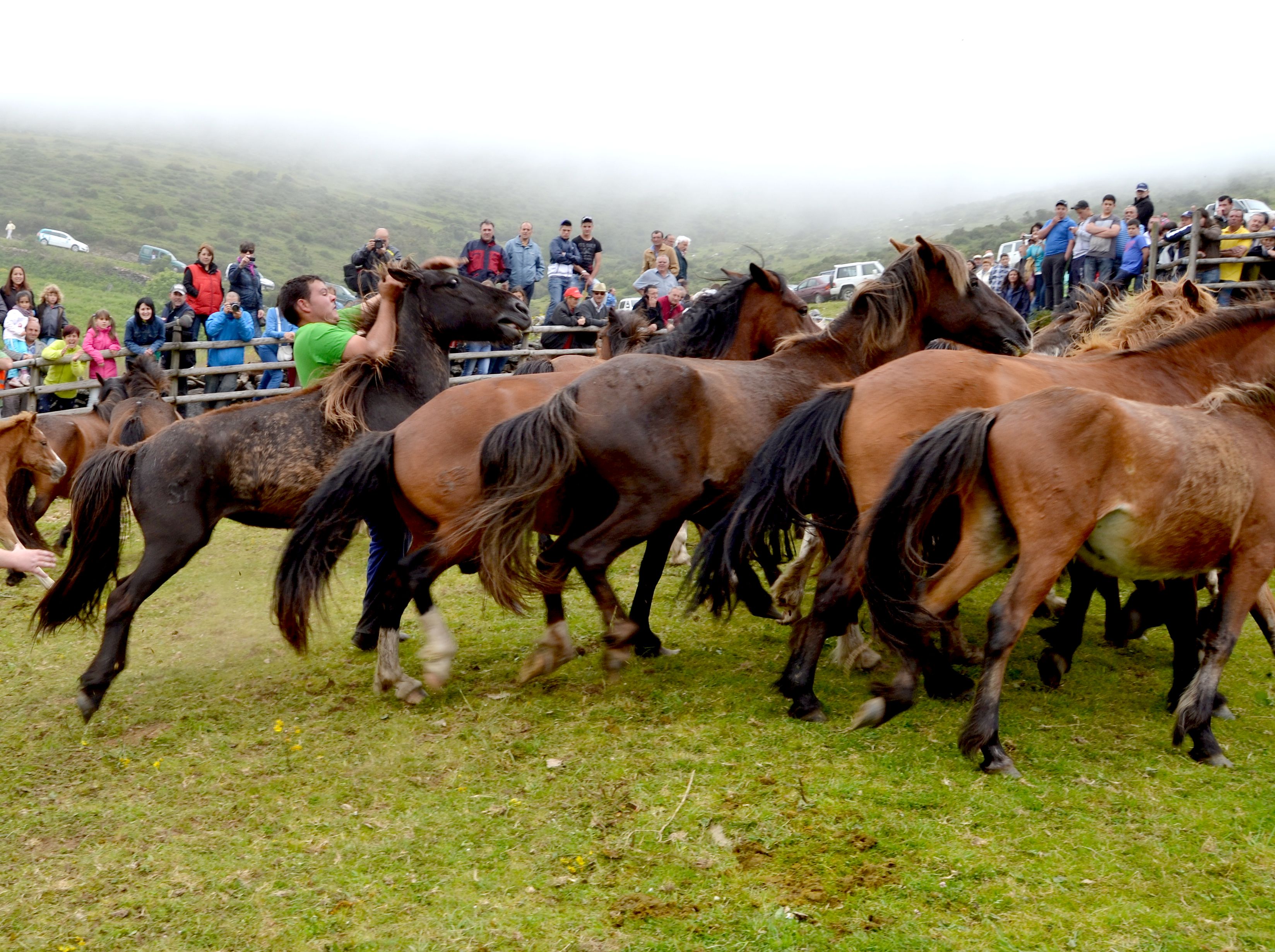 Autor: Antón Vázquez Corral.<br/>Año: 2013<br/>Comentarios: "Rapa das Bestas" (rapar= cortar el pelo de las bestas= yeguas): fiestas...