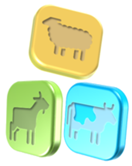 Banner Concurso 100x100 Raza Autóctona