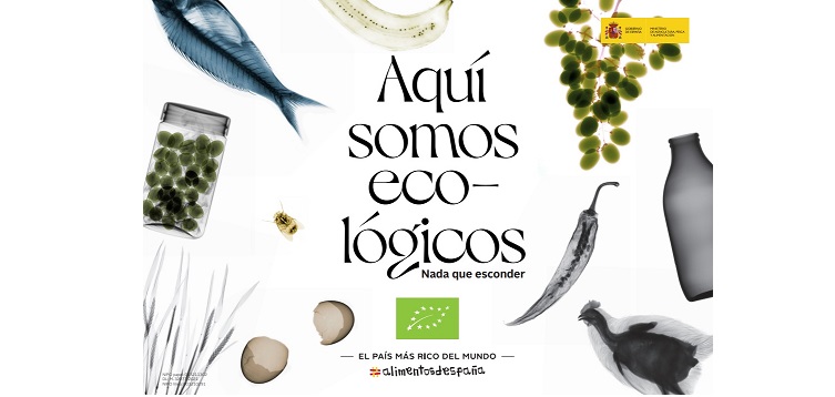 Aquí-somos-eco-lógicos