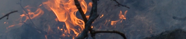 Incendio banner