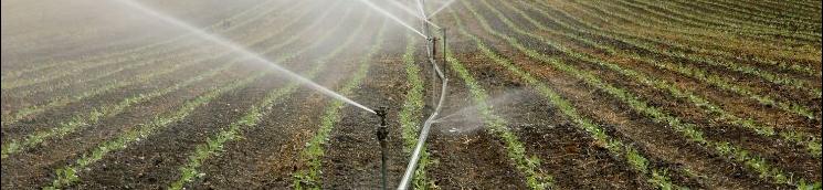 Regadío (banner)