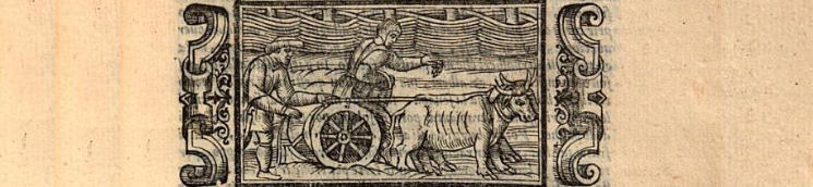 Xilografía de la edición italiana de 1568. Ejemplar de la  Bibliotheque du Palais des arts Ville de Lyon