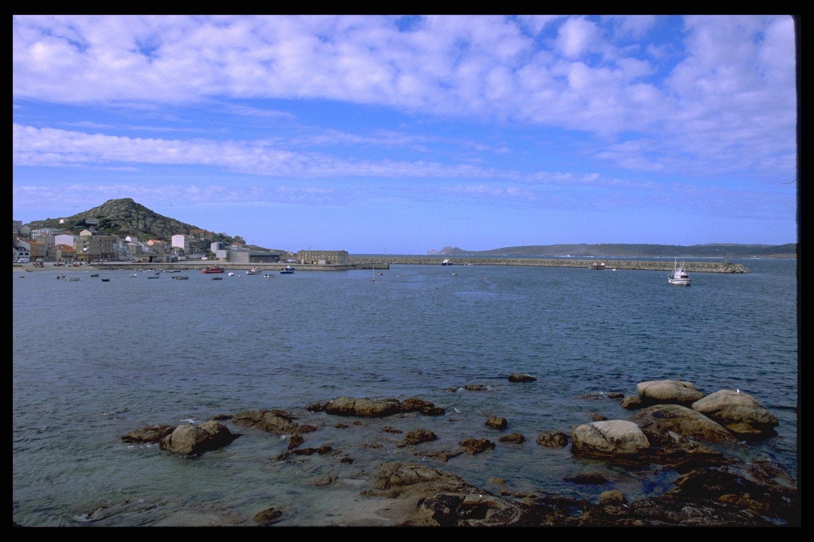 Foto página tope sardina