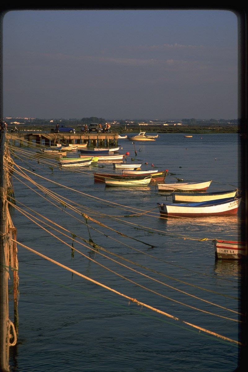 Caladero Golfo de Cádiz