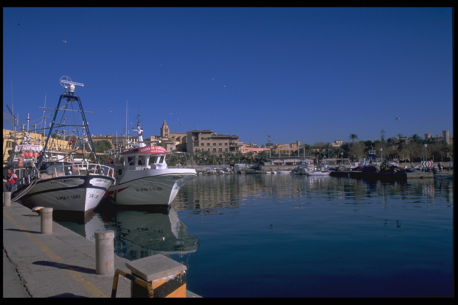 Caladero Mediterráneo