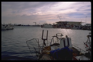 Información de la flota pesquera