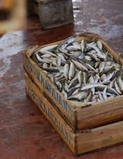caja pescado