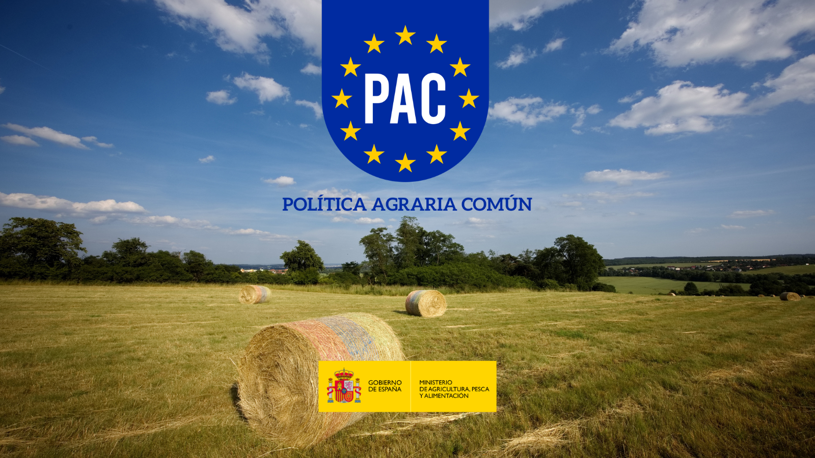 cabecera pac