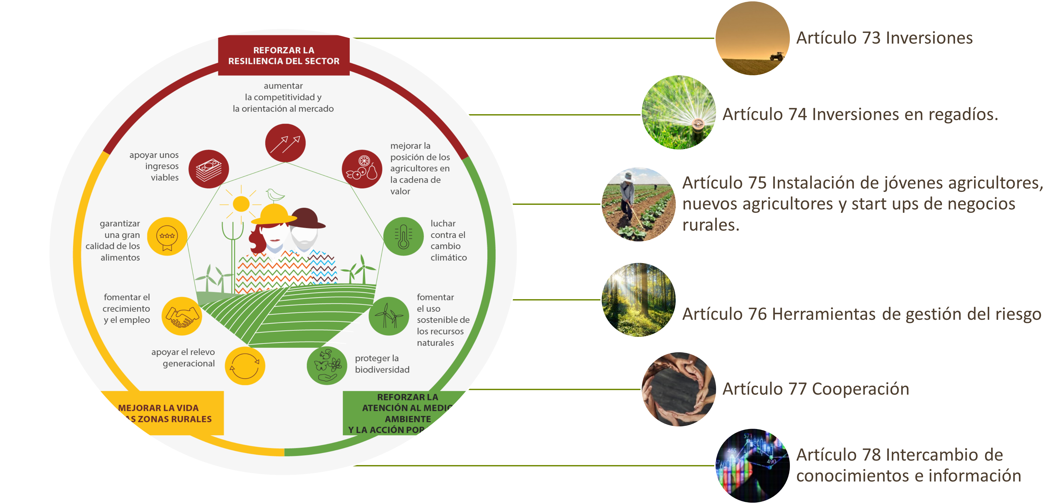 Foto intervenciones PEPAC