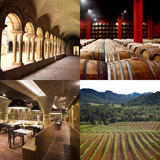 Localizacion-Ruta del vino de Lleida