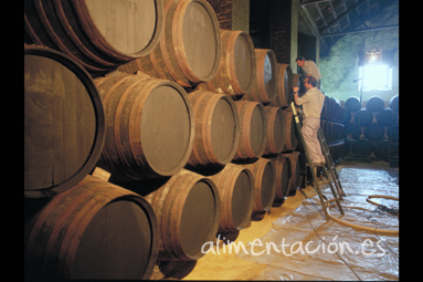 Imagen de resolucion Baja vinos bodega