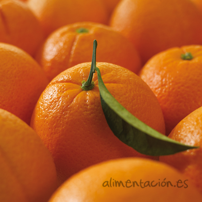 Naranjas-1