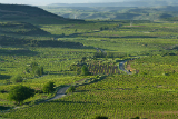 LOCALIZACION-Ruta del Vino Rioja Alta