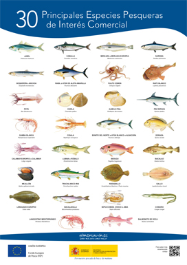 30 especies pesqueras de interés comercila