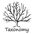 Taxonomía