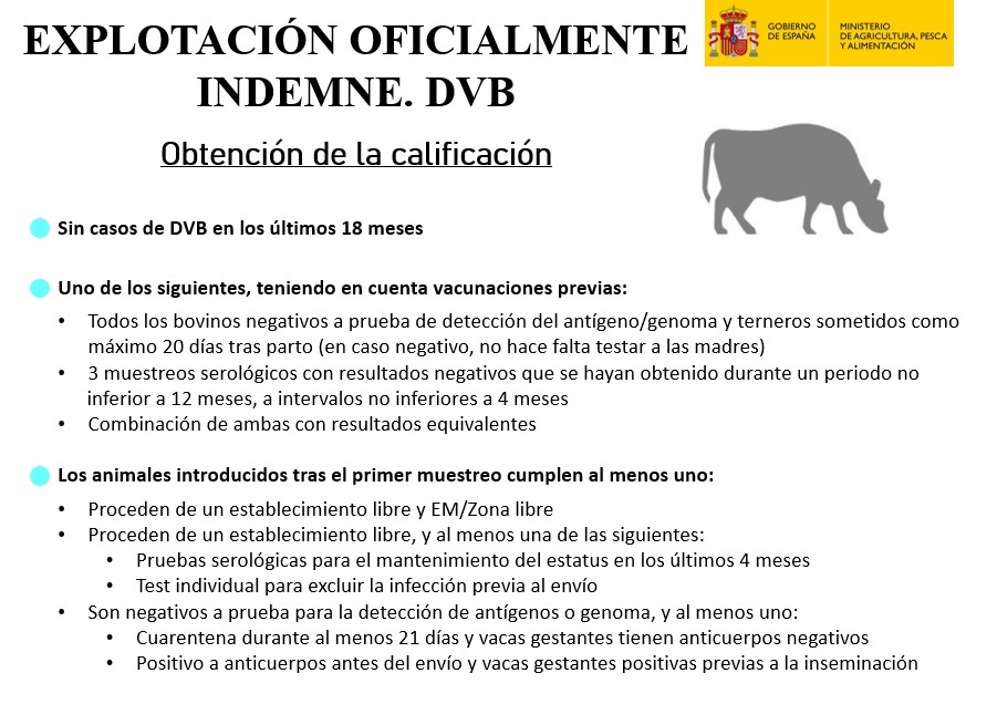 Obtención de la calificación (oct. 2025)