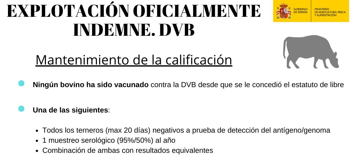 Mantenimiento de la calificación
